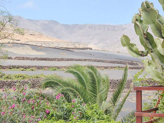 Finca Luciana El Campo Blick