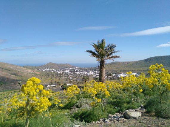 Haría